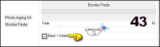 flower-border-fade
