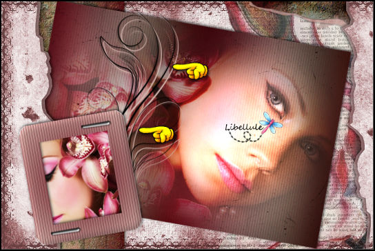 flower-graphisplus-vous-avez-ceci3
