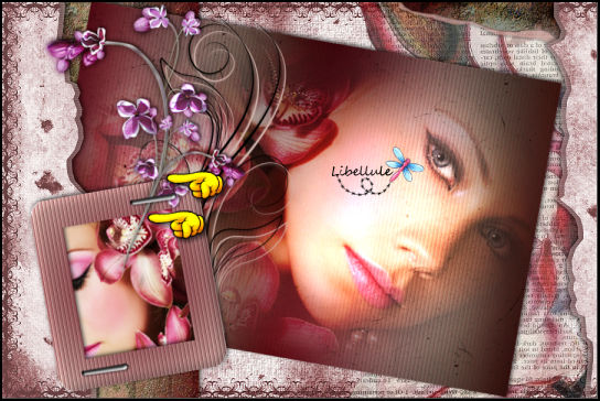 flower-graphisplus-vous-avez-ceci4