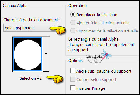 gaia-selection2