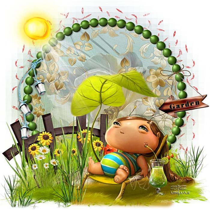 garden-libellule