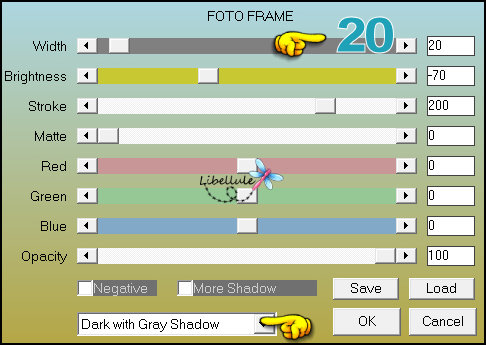 graphic-art-foto-fram2