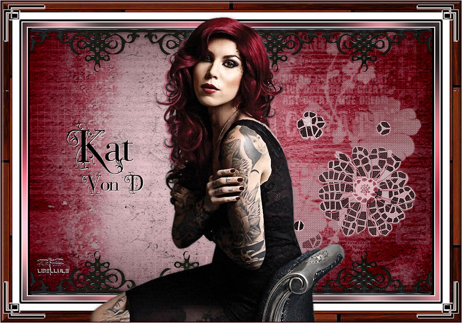 kat-de-libellule