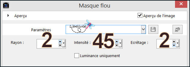 libellule-kenzo-masque-flou