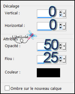 leonne-ombre5