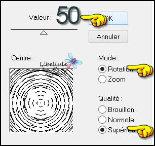 circus-flou-radial