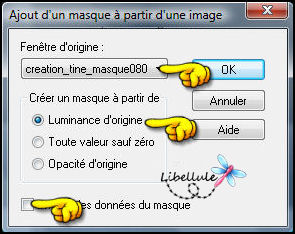 nouvelle-annee-masque