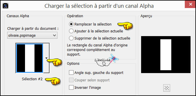 olivier-canal-alpha2