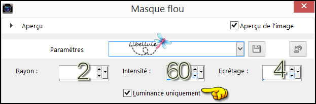 olivier-masque-flou