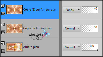 pinuccia-vous-avez-ceci3