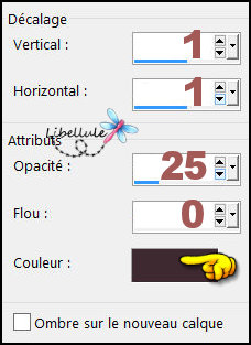rose-ombre-portee1