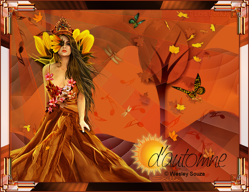 soleil_automne_stella