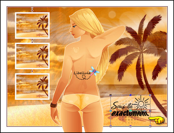 sous-le-soleil-motart