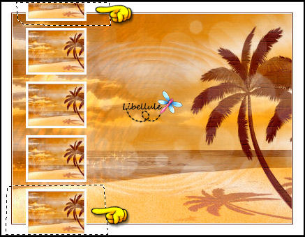 sous-le-soleil-selections-1