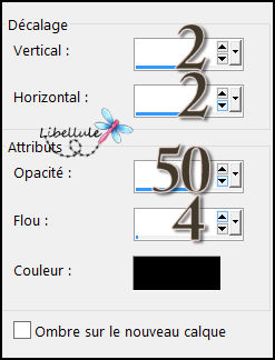 vintage-ombre-portee2