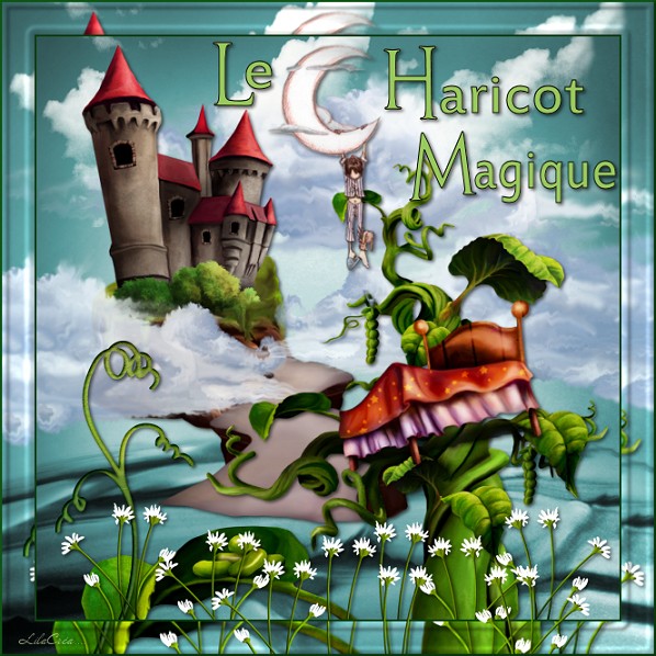 haricotmagiqe