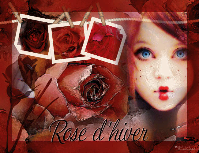 rose_hiver