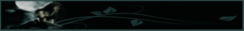 banner_silvia