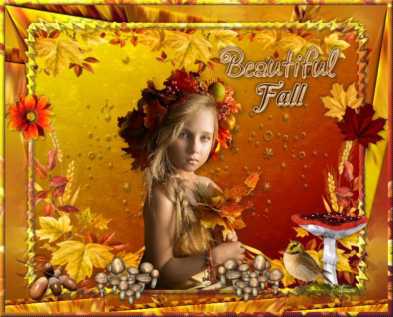beautifullfall