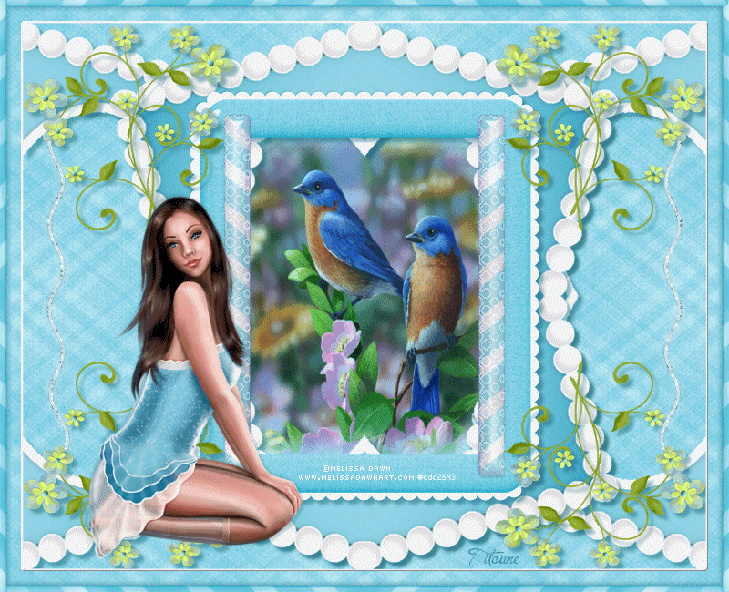 birdiesspring