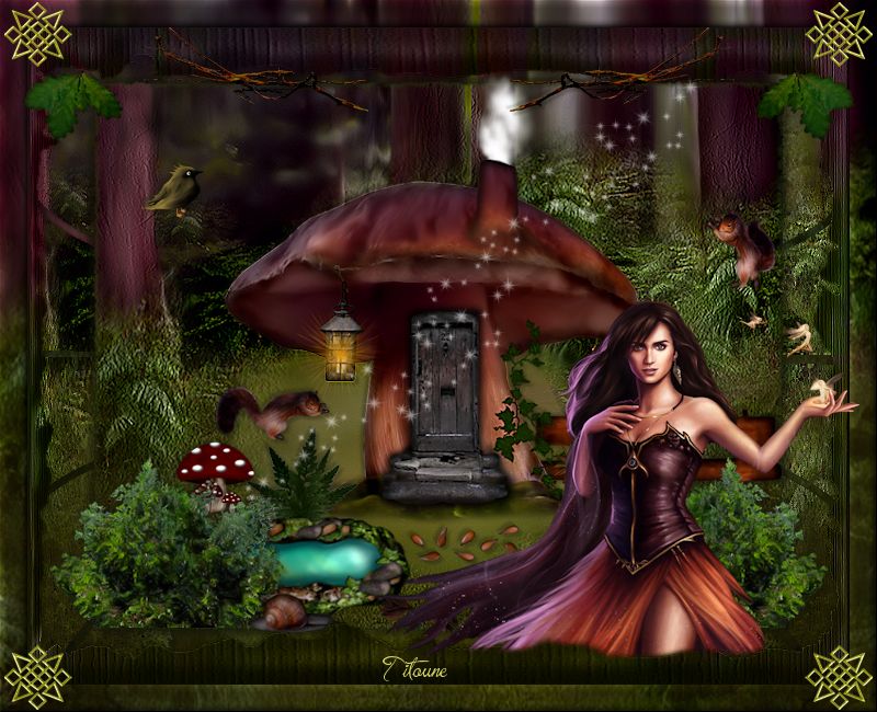 mysteriousforest