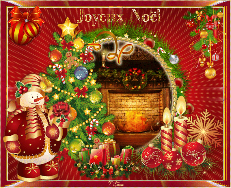 noelflamboyan