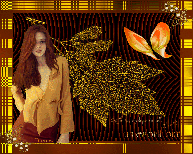 papillon_automne