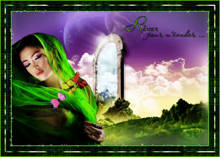 reveevader