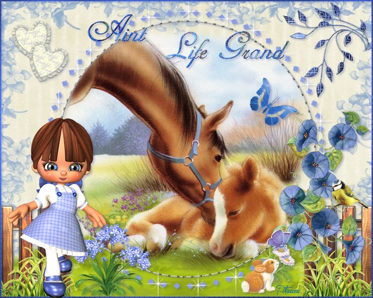 sweethorses