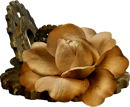 sl2