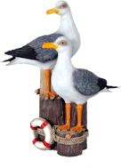 SEAGULLSONPYLON