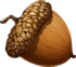 Acorn