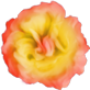 Miz_AutumnsEmbrace_el(22)