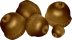 sd-element6