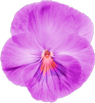 Miz_BS_element23