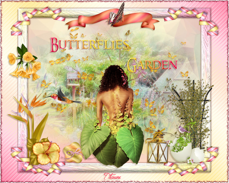 butterflies_garden