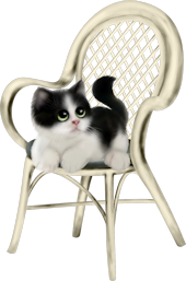 TP_CatChair_02