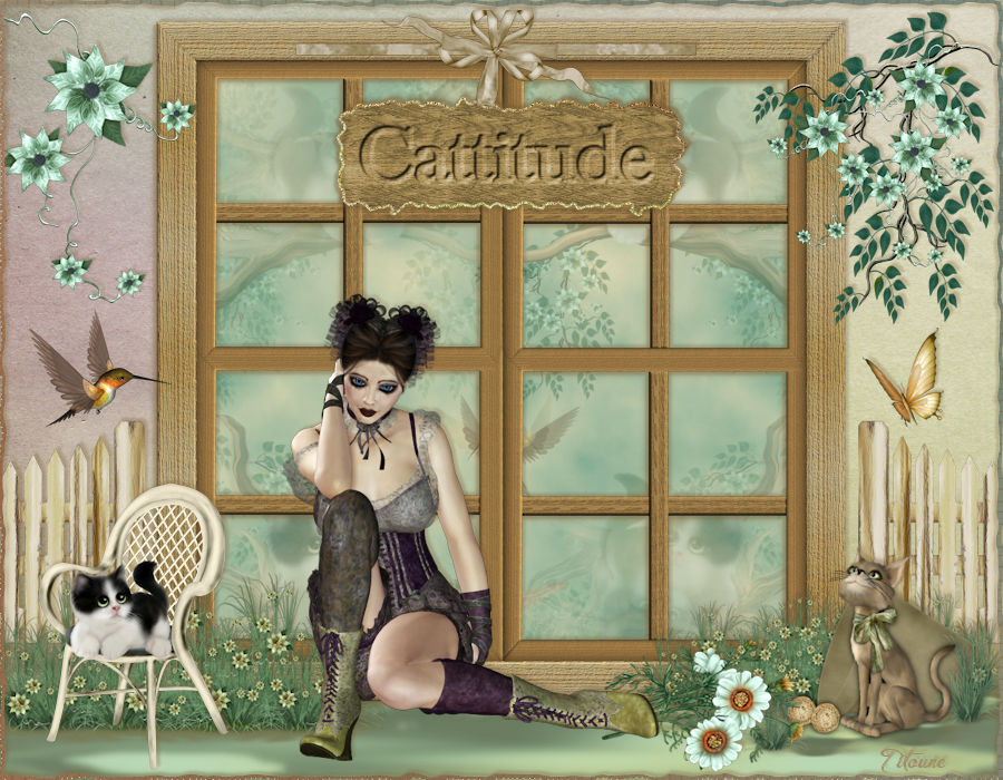 cattitude
