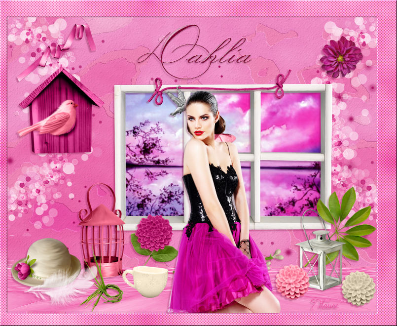 dahlia