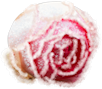 Candy'sWinter(52)