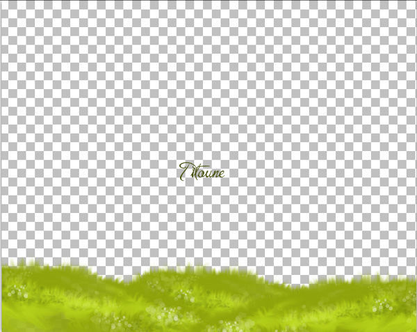 capture2ok