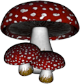 GD-GDoA-Mushrooms2