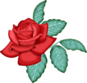 DCD_HDA_Rose01