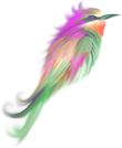 bird