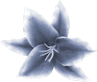 MC_PP_OceanIsle_E17