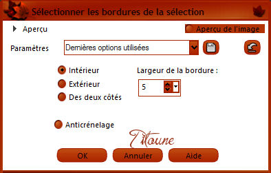 bordure_selectionok