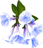 MC_OscrapBlogtrain_FairyFantasy_E08