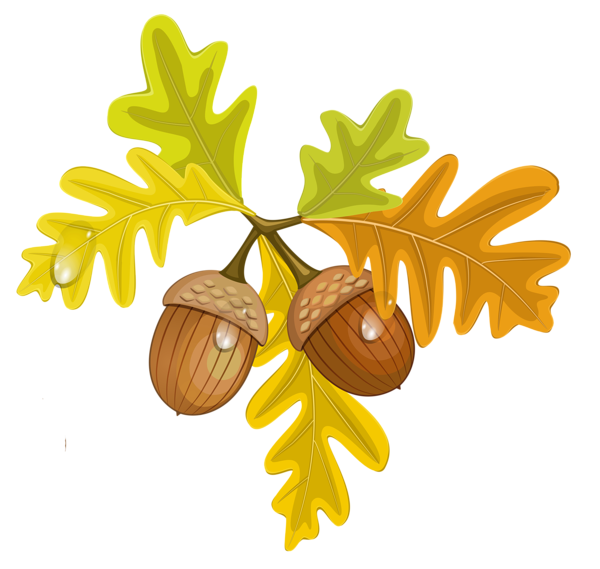 Transparent_Fall_Leaves_with_Acorns