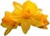 sl_1