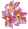 GOF_Fan_Freebie_Easter(53)